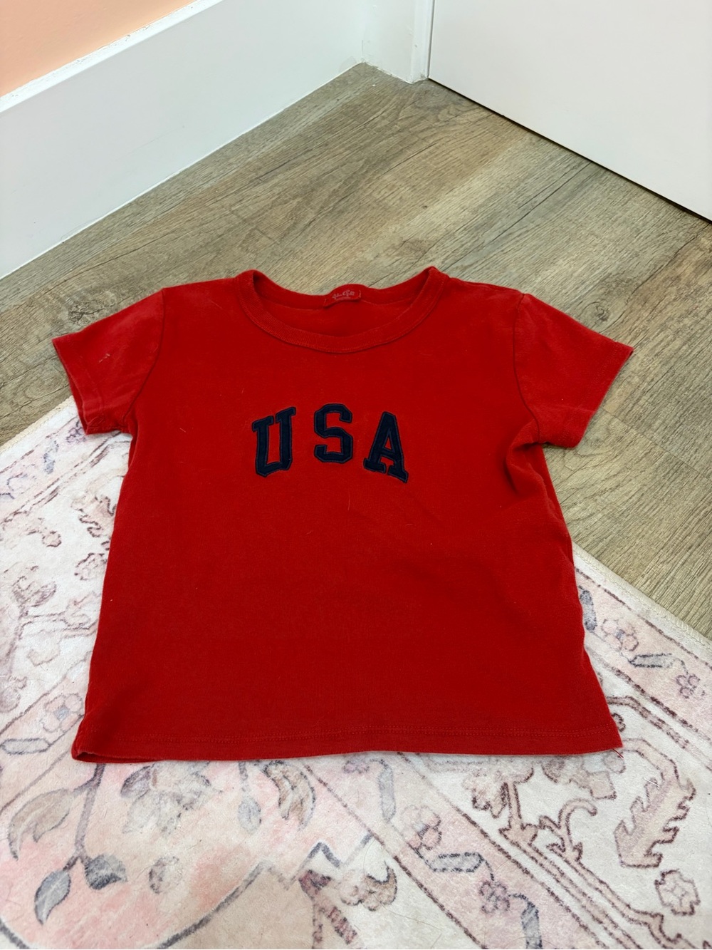 Brandy Red USA Graphic Tee